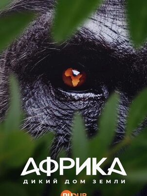 Африка: Дикий дом Земли